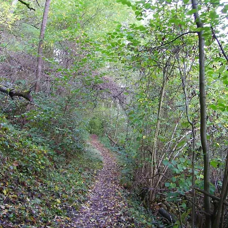 Апартаменты Riverside Comfort Целль-ан-дер-Мозель