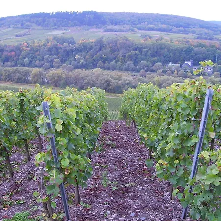 Apartment Lovely Modern Apartment, Walking Distance To Mosel