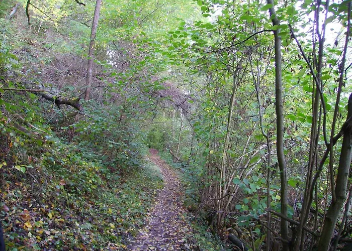 Apartamento Riverside Comfort Zell