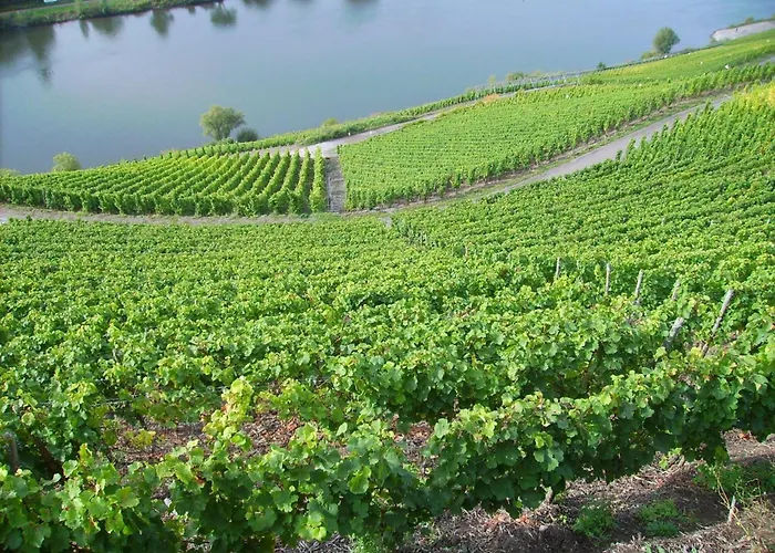 Riverside Comfort Apartamento