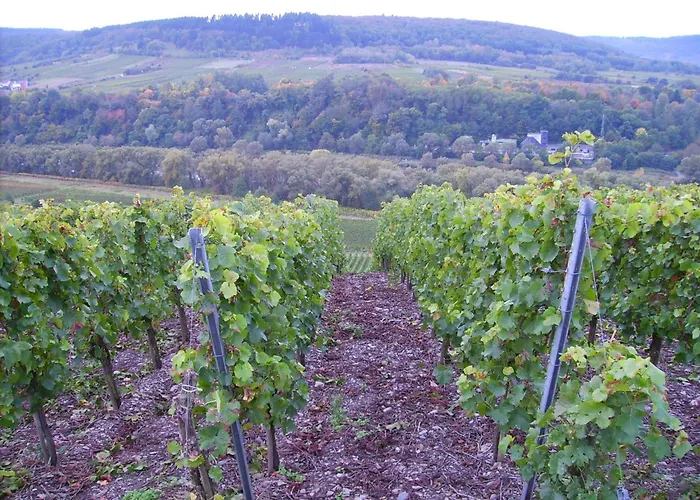 Apartamento Riverside Comfort