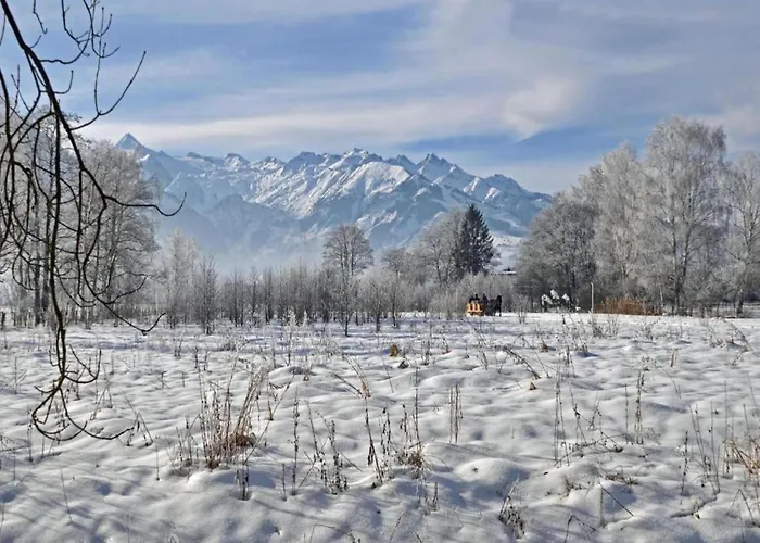 Riverside Comfort Apartamento *